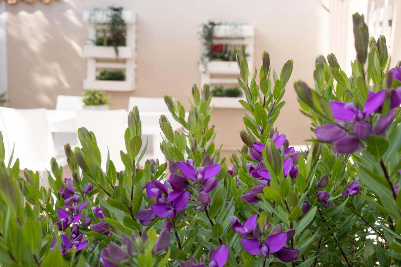 Emotions Bed & Breakfast Fiumicino Exterior photo