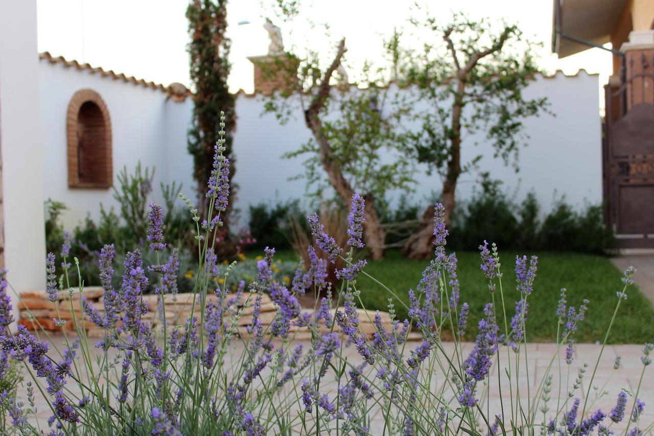 Emotions Bed & Breakfast Fiumicino Exterior photo